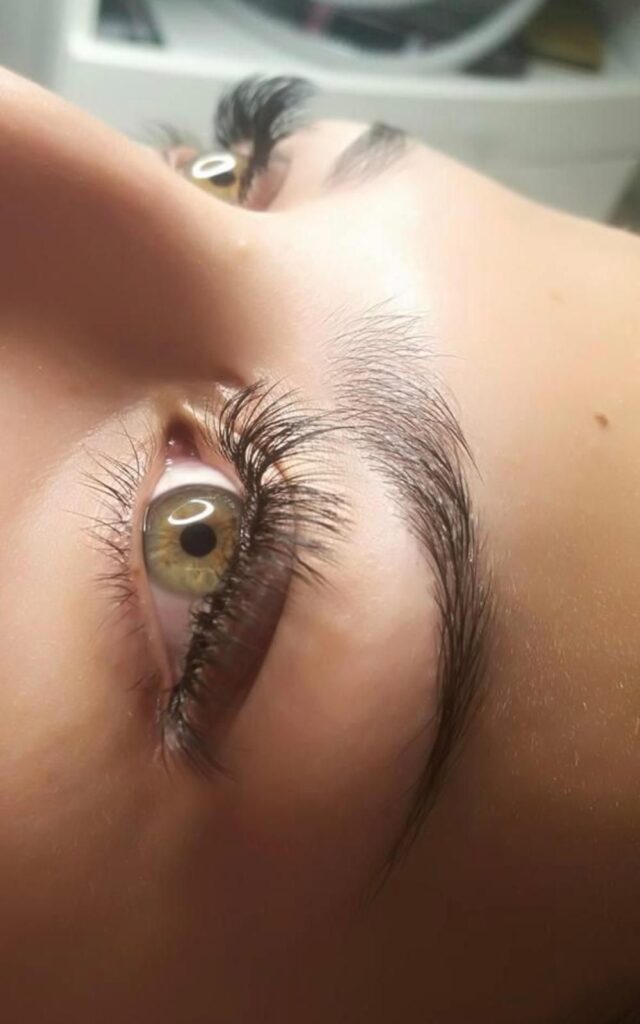 Wimpern & Brows